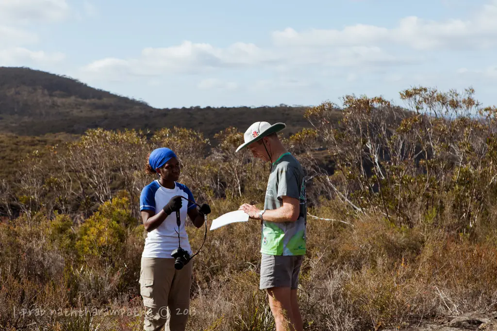 8712026189 6bc926b70d b