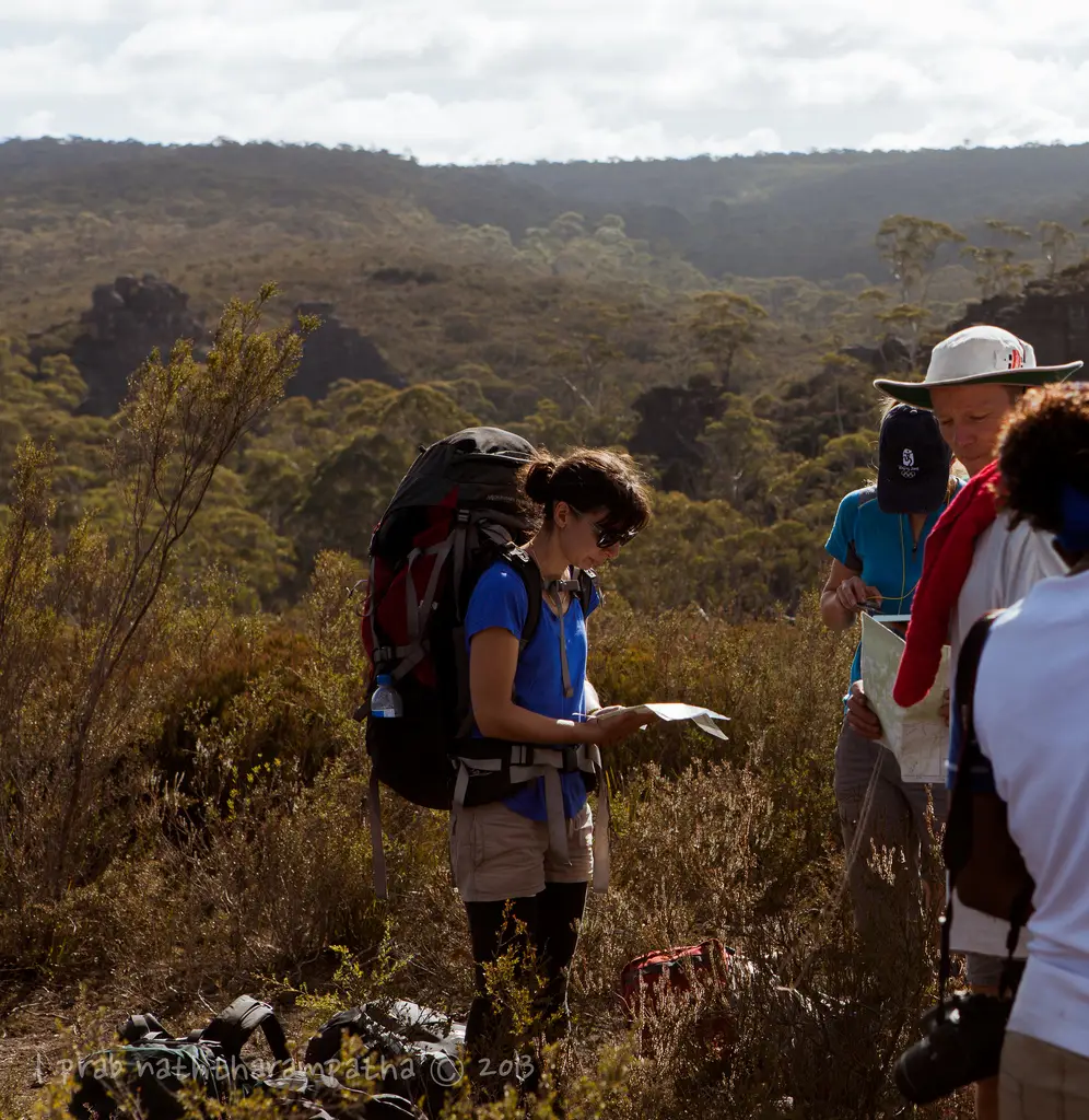 8712067425 1eed8a7d31 b