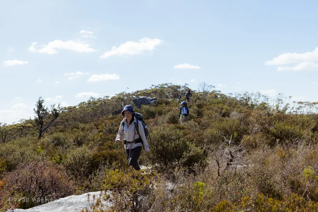 8713464384 713616a4cf b