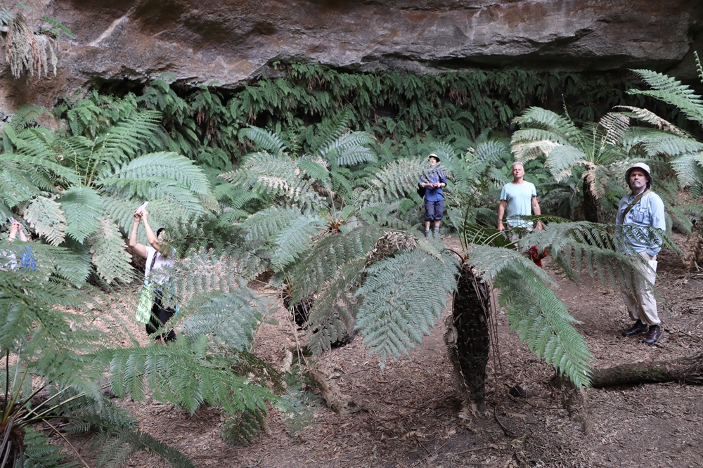 3 Day Nav Hike d209.13 026