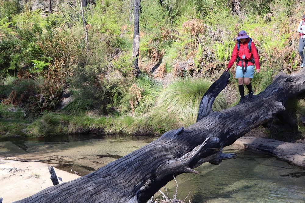 3 Day Nav Hike d226.10 006