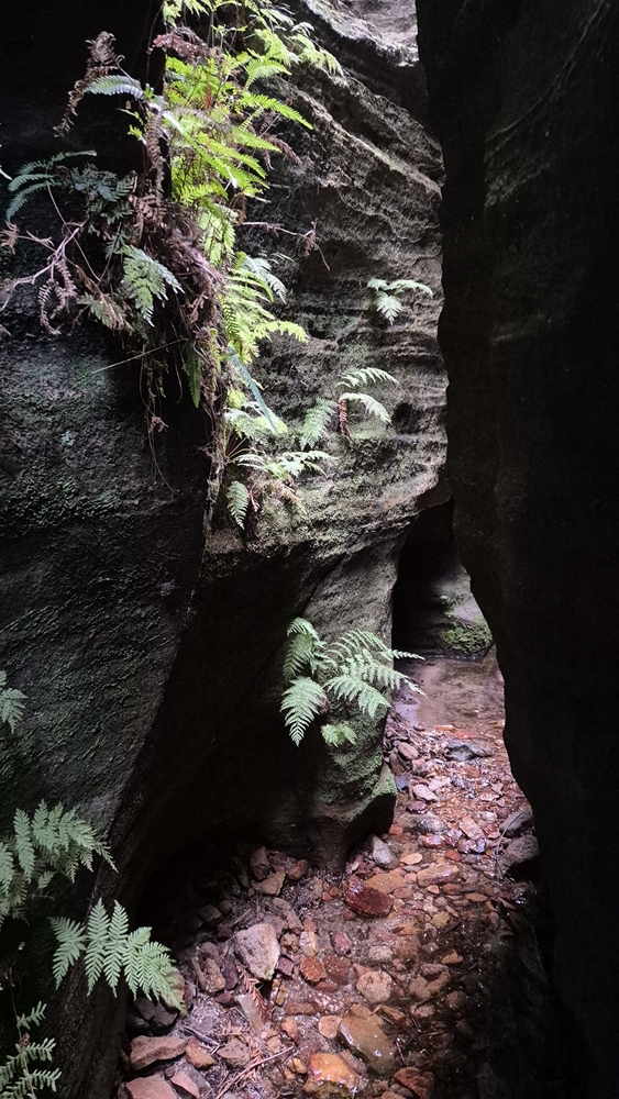 3 Day Nav Hike d226.10 023